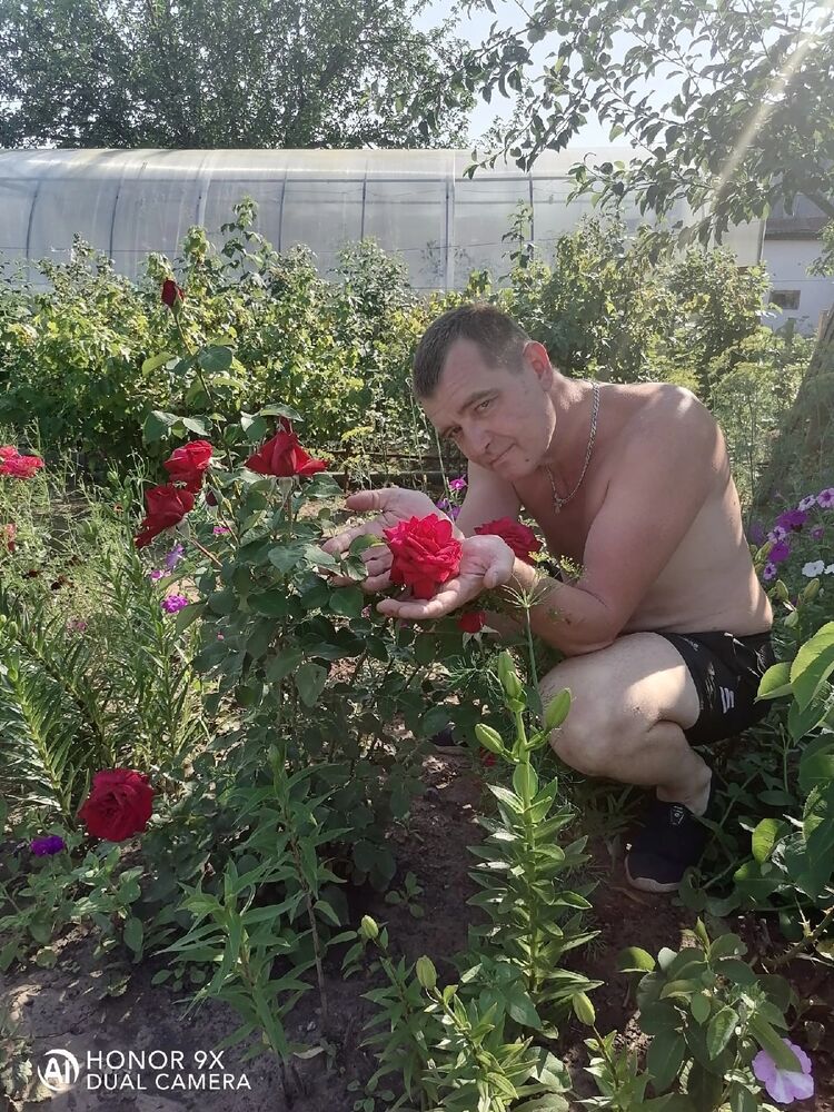  ,   , 46 ,     , c , 