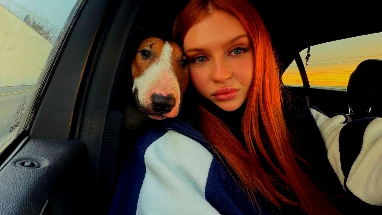 ���������� ���������, ���� ������� �������, 26 ���, ������������ ��� ������, ����� � ���������