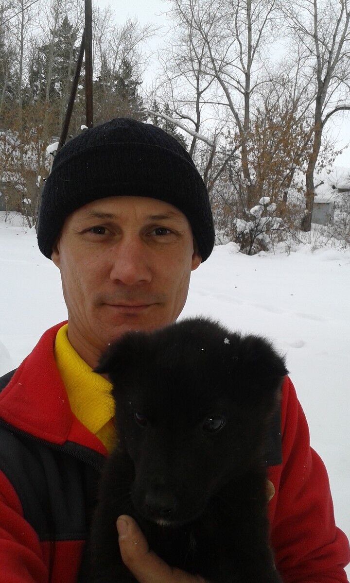  8597066  , 51 ,    -