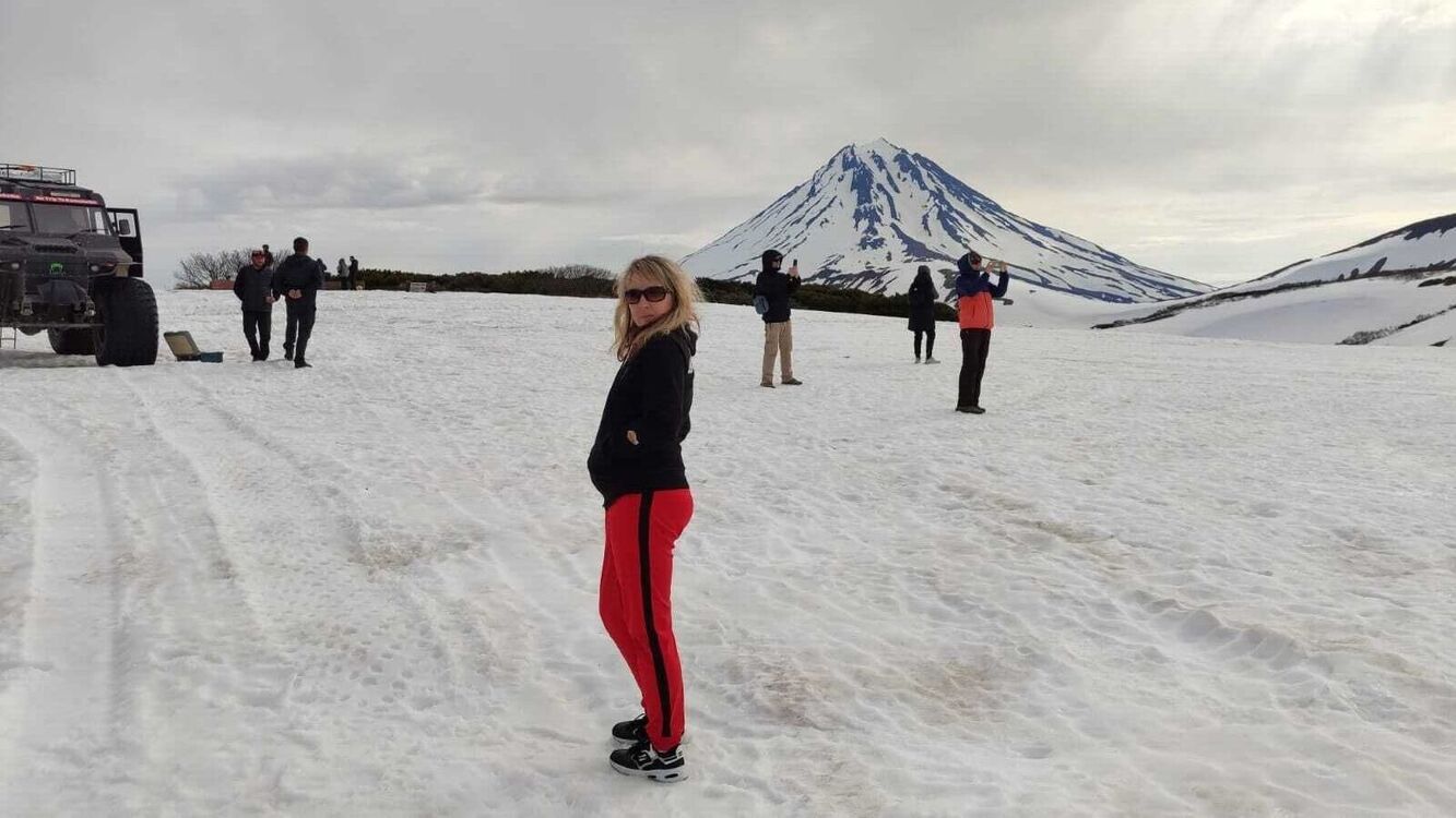  53943886  , 41 ,    -