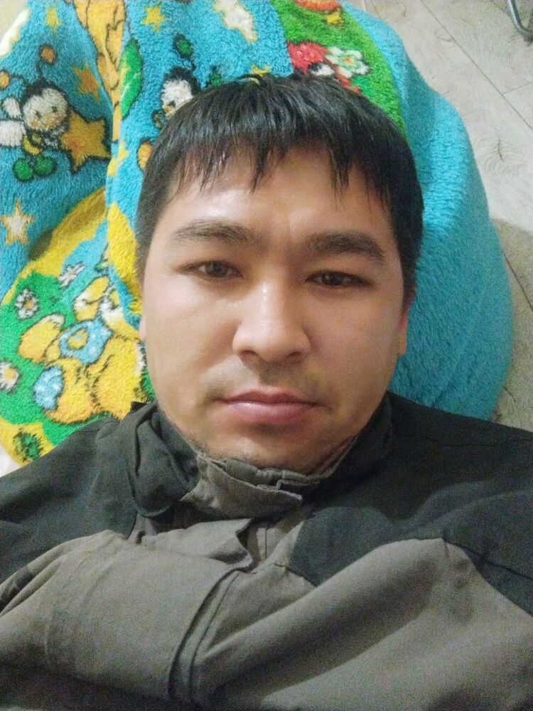  38004796  , 38 ,    