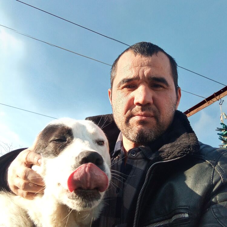 ���� 40528546 ������� �����, 40 ���, ���� ���������� � �����������