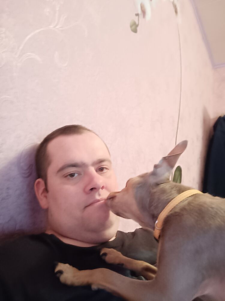 ���� 51527836 ������� ������, 41 ���, ���� ���������� � ��������