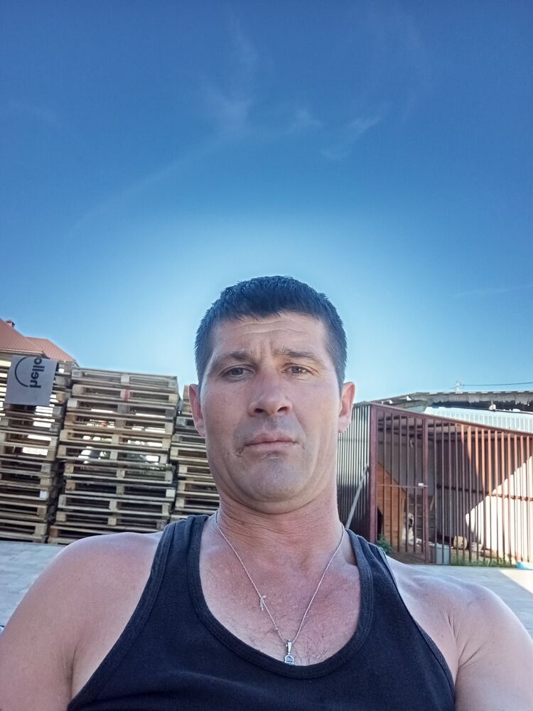  53515416  , 41 ,    
