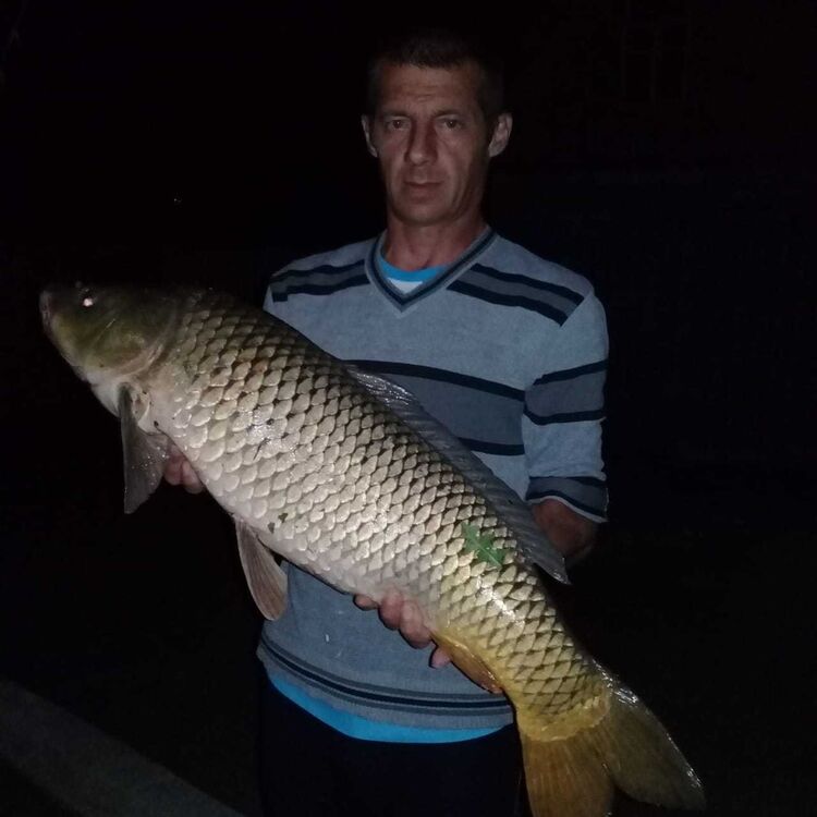 ���� 17334306 ������� ��������, 54 ����, ���� ���������� � �����