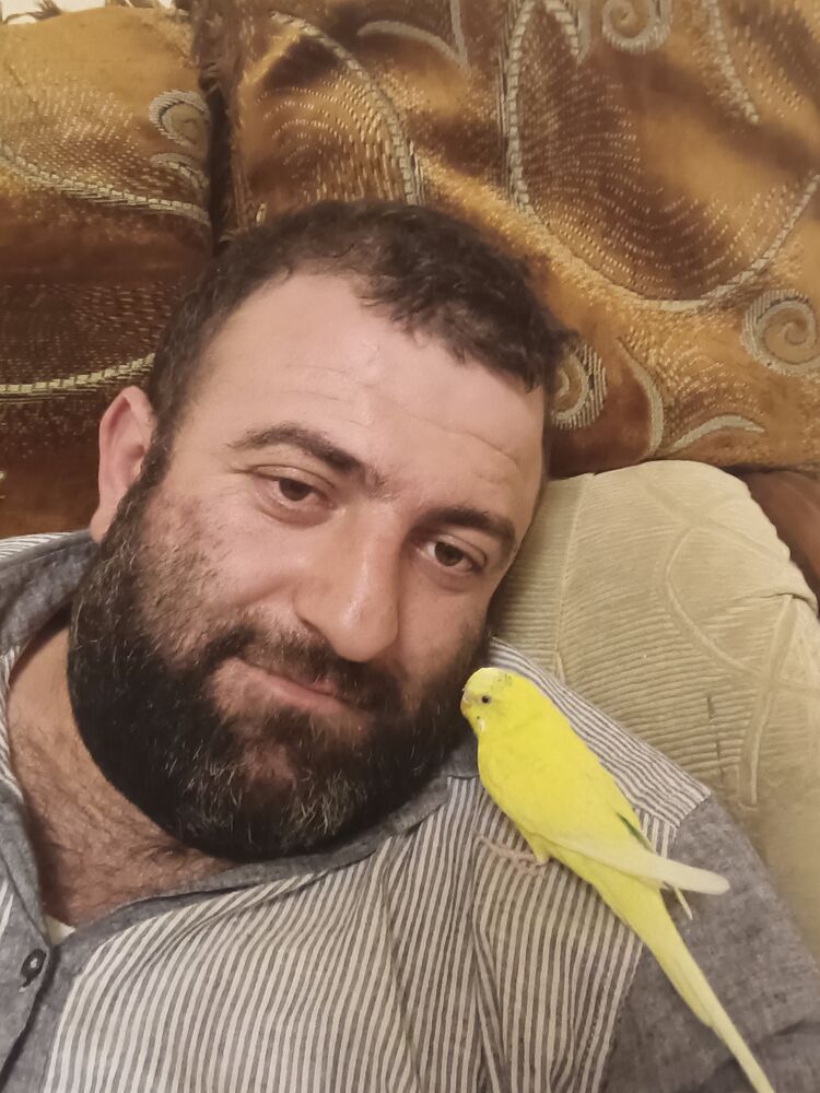 ���������� ������, ���� ������� �����, 38 ���, ������������ ��� ������, ����� � ���������, c�������� ���������, ���������