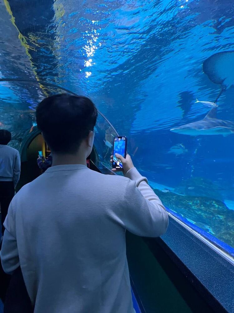 ���������� ������, ���� ������� ����, 32 ����, ������������ ��� ������, ����� � ���������