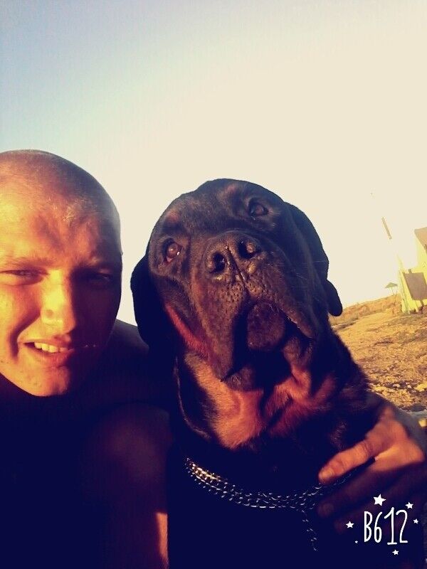 ���� 8223266 ������� ������, 28 ���, ���� ���������� � �������-��-����