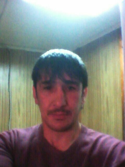 ���� 12299256 ������� Shava, 36 ���, ���� ���������� � ������