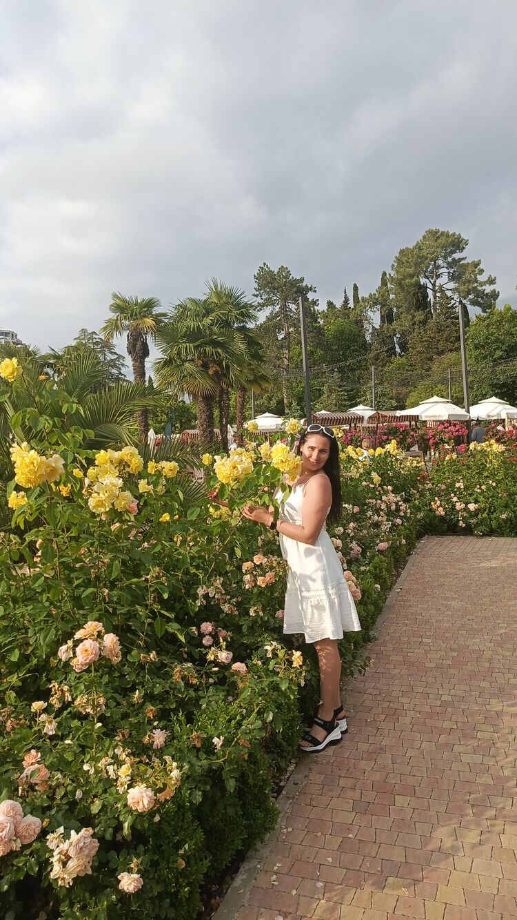  53726116  , 36 ,    -