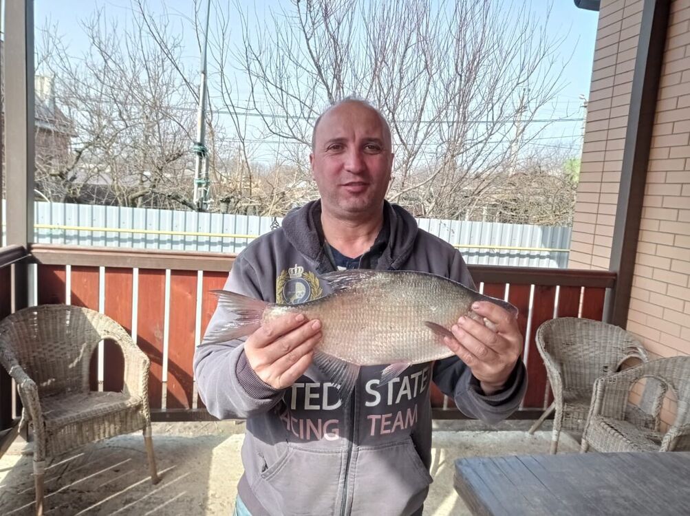  --,   , 54 ,   ,   