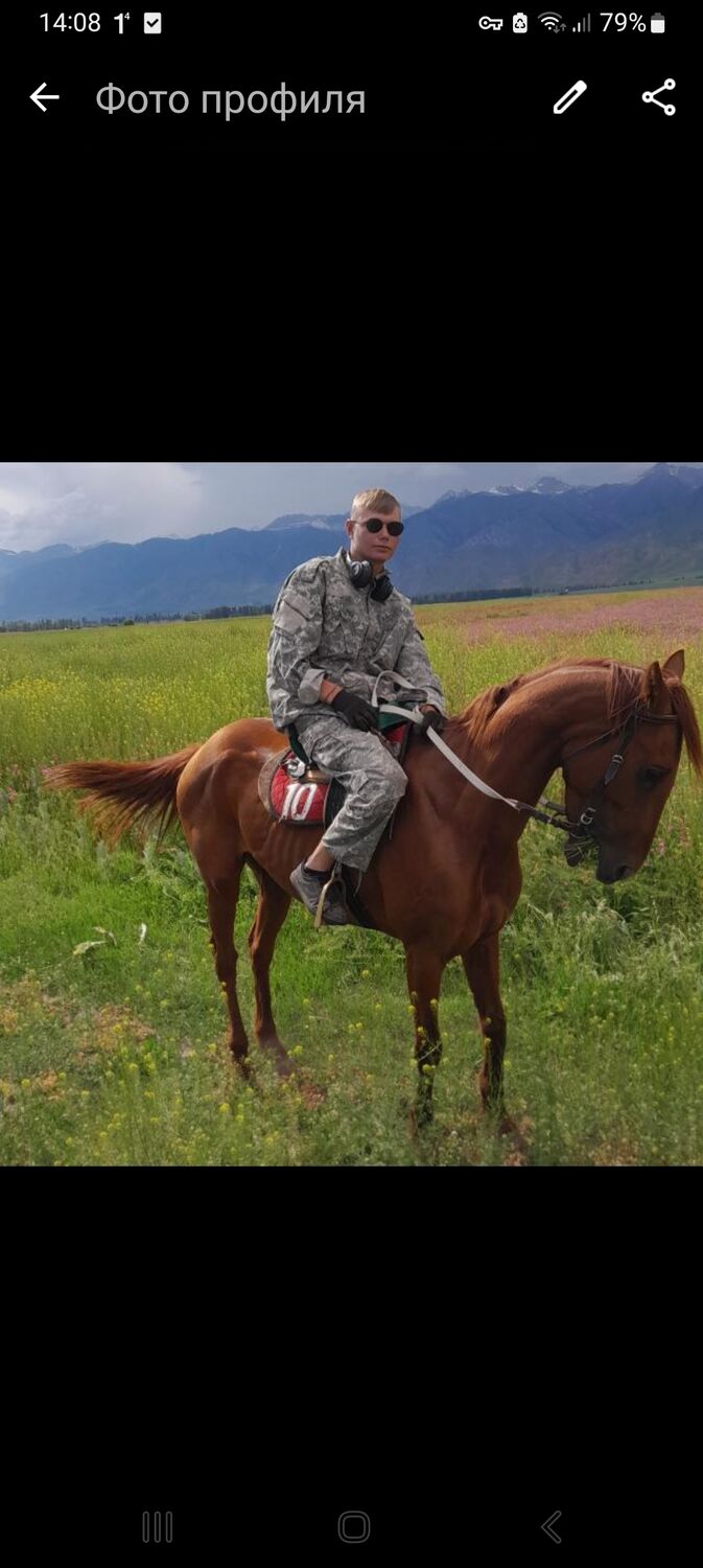 ���� 43961666 ����� ��������, 20 ���, ���� ���������� � �������