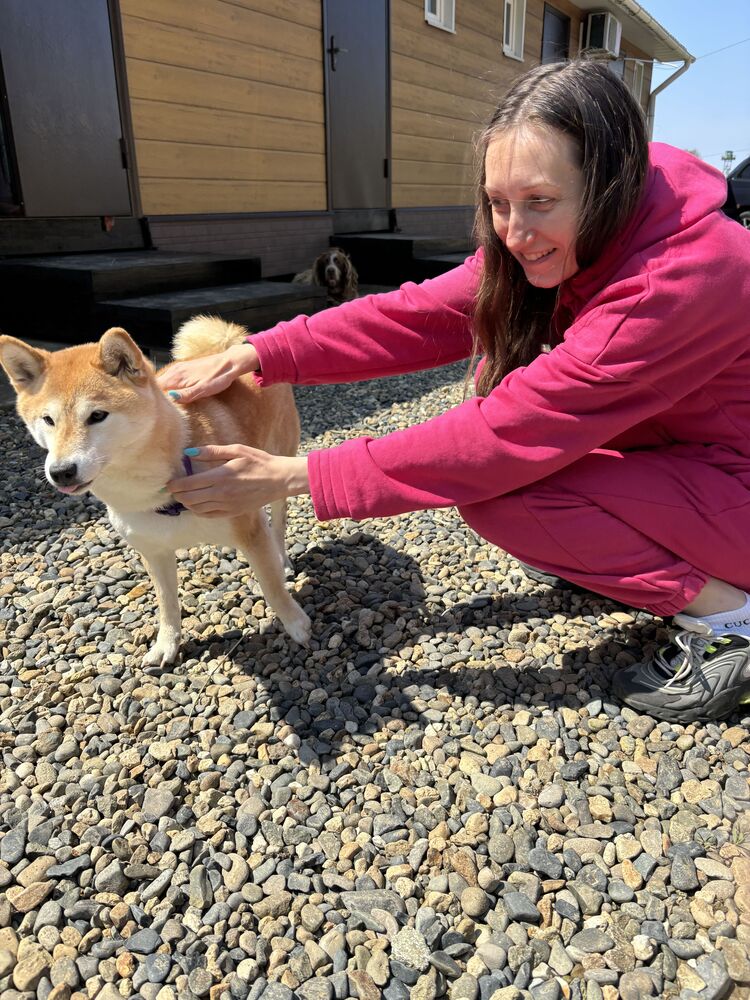 ���������� ���������, ���� ������� ���, 32 ����, ������������ ��� ����� � ���������, c�������� ���������