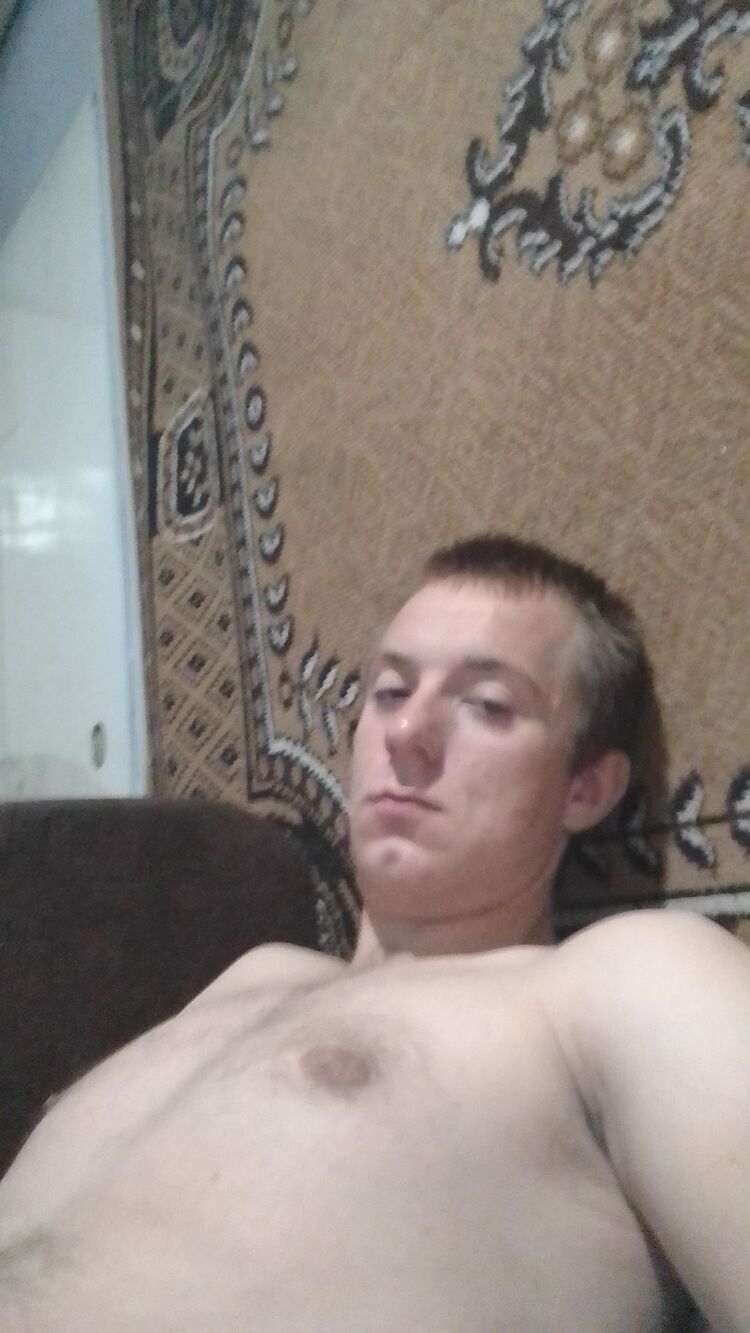  31355006  , 28 ,    