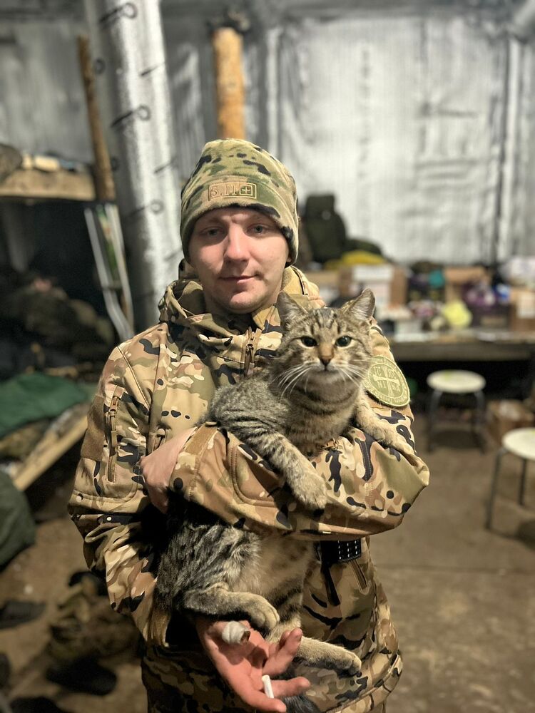 ���� 47887546 ������� ������, 26 ���, ���� ���������� � �����-����������