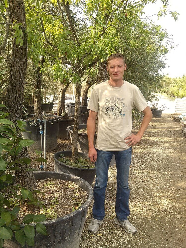 ���� 8466146 ������� ����, 48 ���, ���� ���������� � ��������