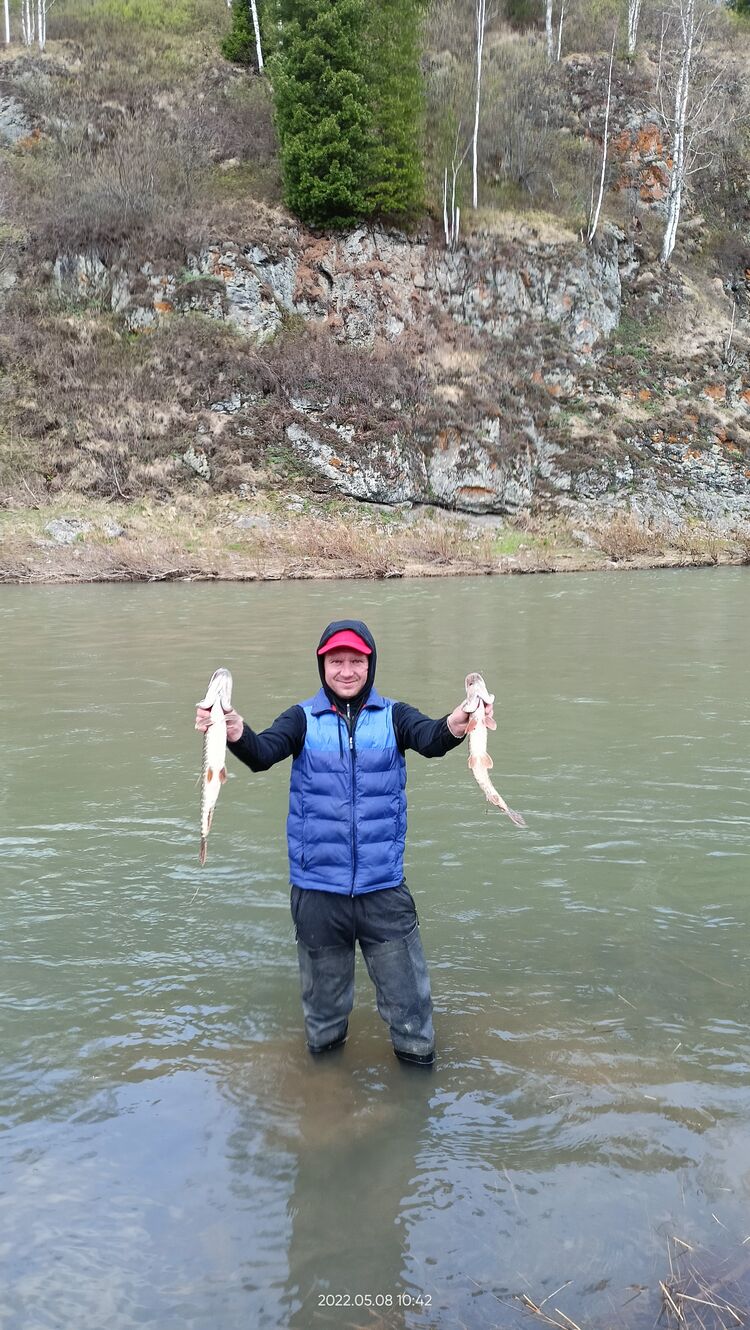 ���������� �����������, ���� ������� �������, 37 ���, ������������ ��� ������, ����� � ���������, c�������� ���������, ���������