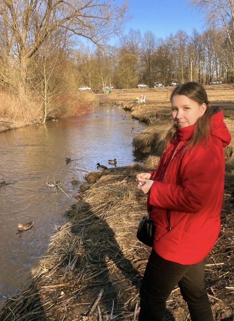  54485456  , 31 ,    -