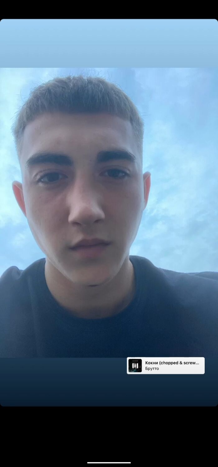  31583156  , 24 ,    