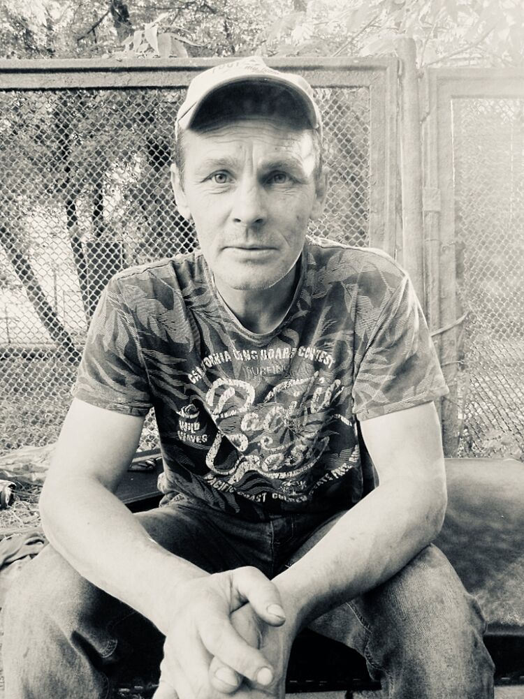 ���� 37384466 ������� ���������, 48 ���, ���� ���������� � ������