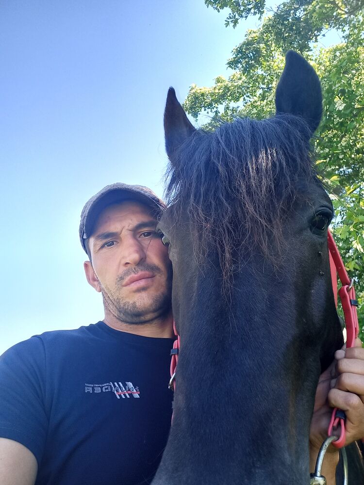 ���������� �������, ���� ������� �����, 41 ���, ������������ ��� ������, ����� � ���������