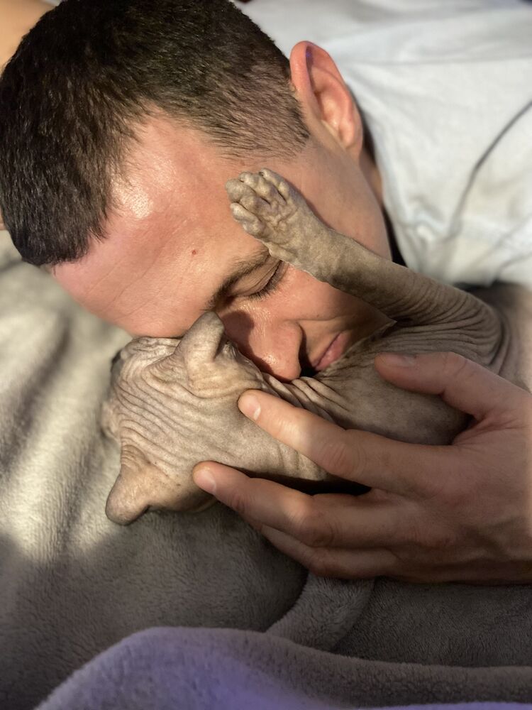 ���������� �����-���������, ���� ������� Yan, 39 ���, ������������ ��� c�������� ���������