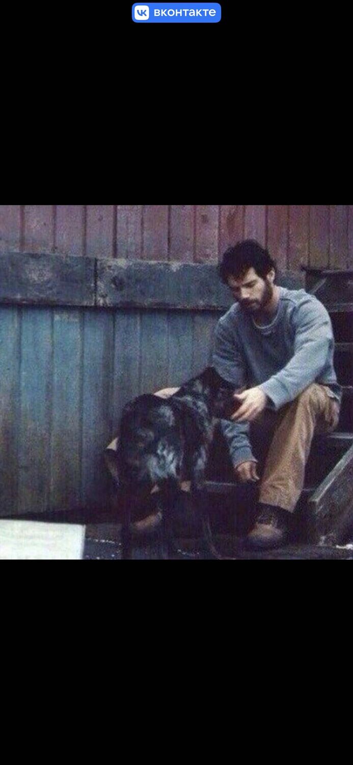 ���� 33573266 ������� ������ ����, 34 ����, ���� ���������� � ������������