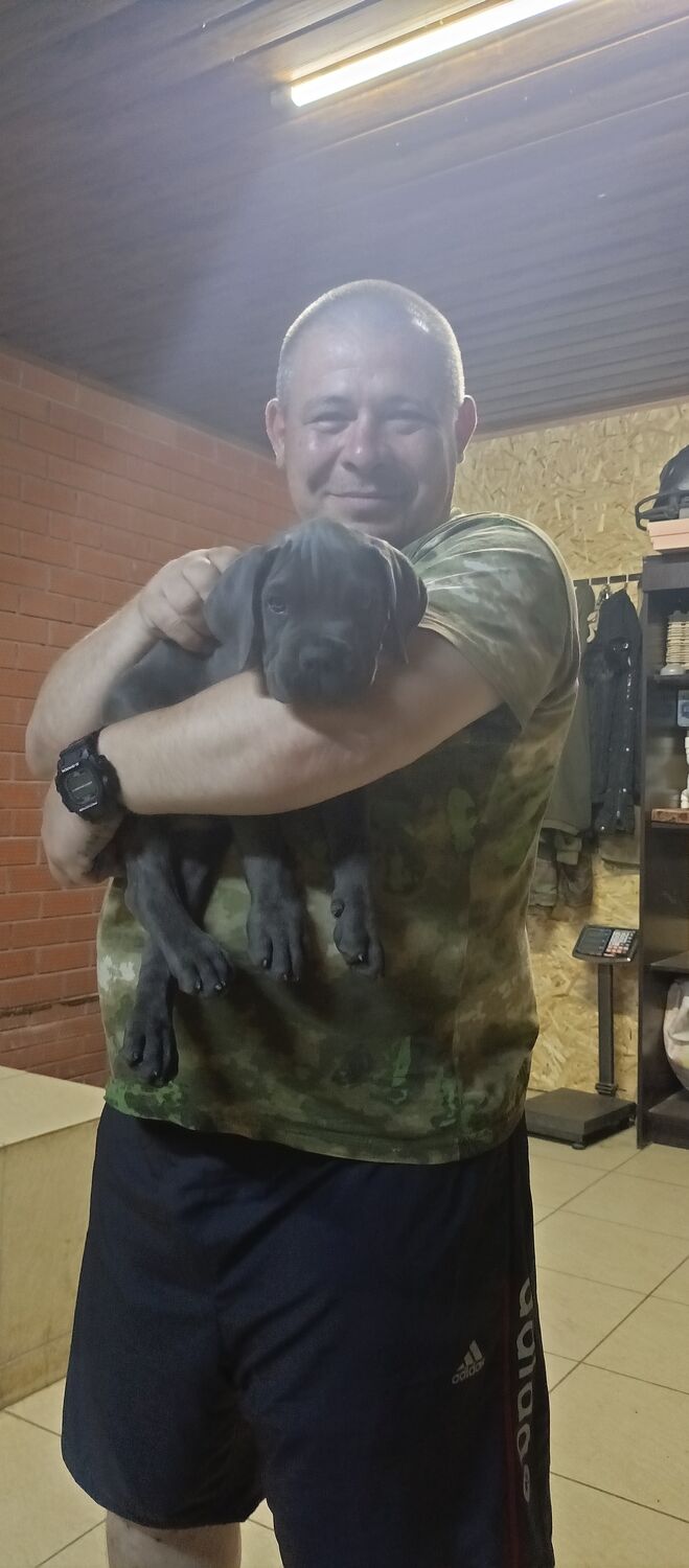 ���� 44812126 ������� ������, 44 ����, ���� ���������� � �������-��-����