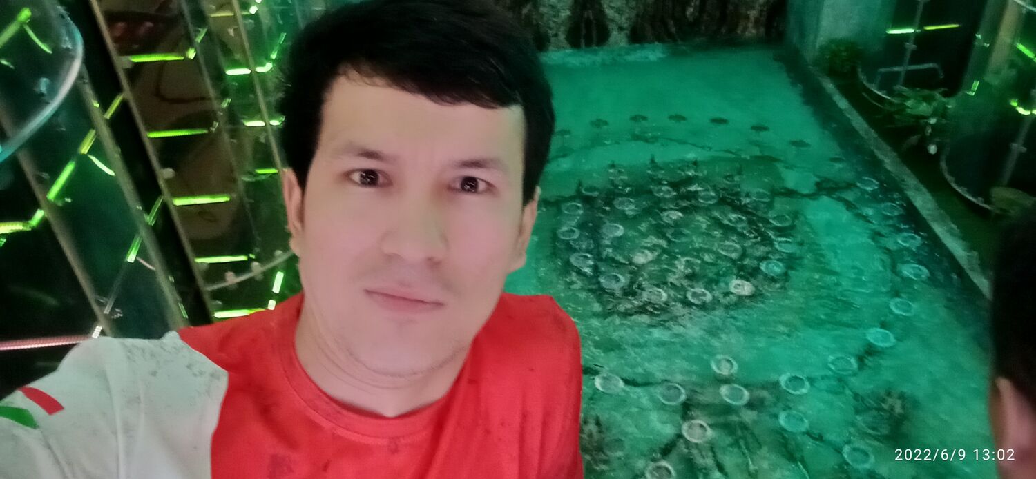 ���� 27293666 ������� ����, 31 ���, ���� ���������� � ������