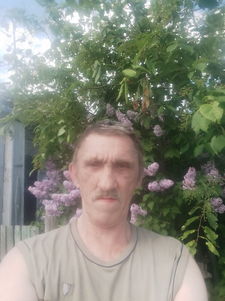  43813466  , 60 ,    