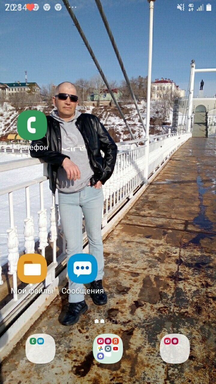  31138376  , 43 ,    