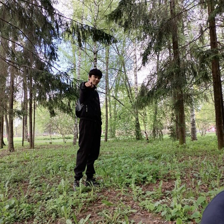 ���� 42447286 ����� �����, 22 ����, ���� ���������� � ��������