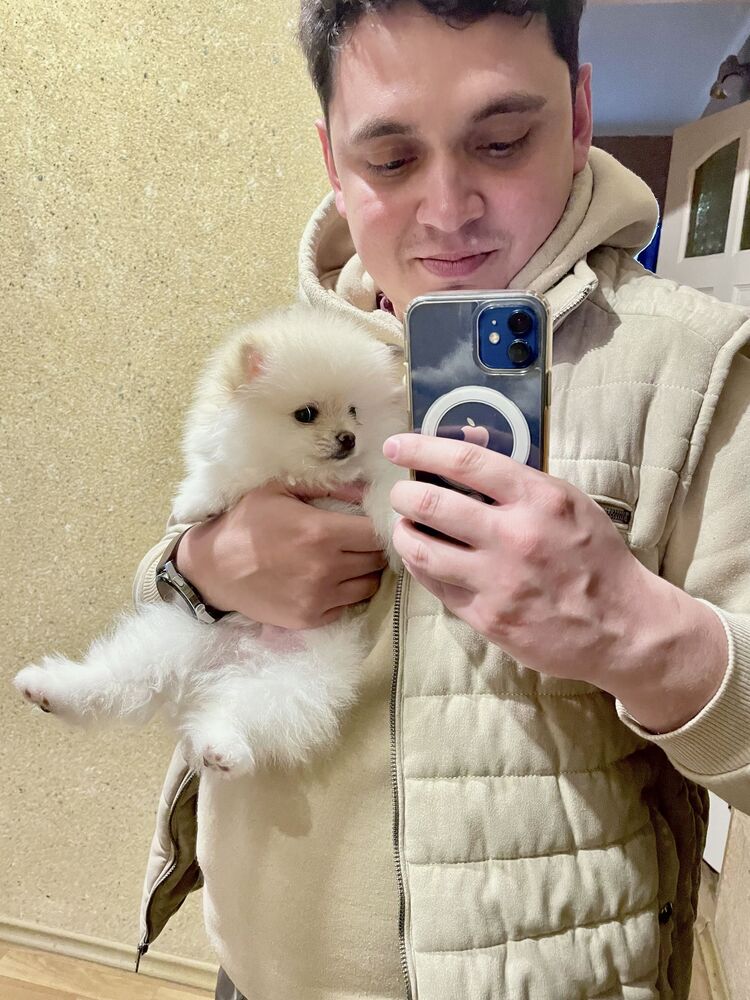 ���������� �������, ���� ������� �������, 29 ���, ������������ ��� ������, ����� � ���������, c�������� ���������, ���������