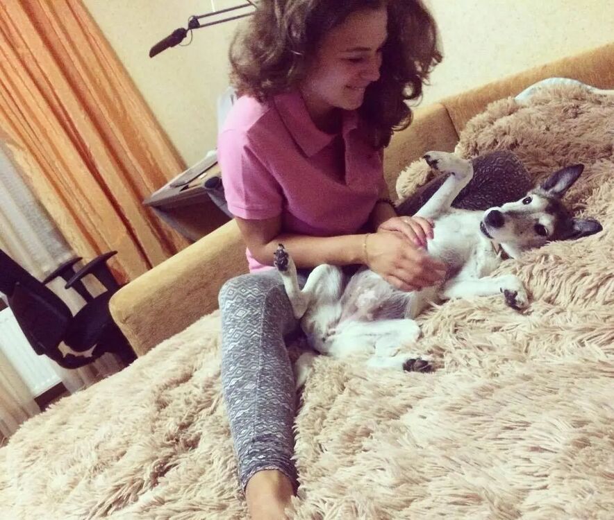 ���������� ������, ���� ������� ����, 26 ���, ������������ ��� ������, ����� � ���������