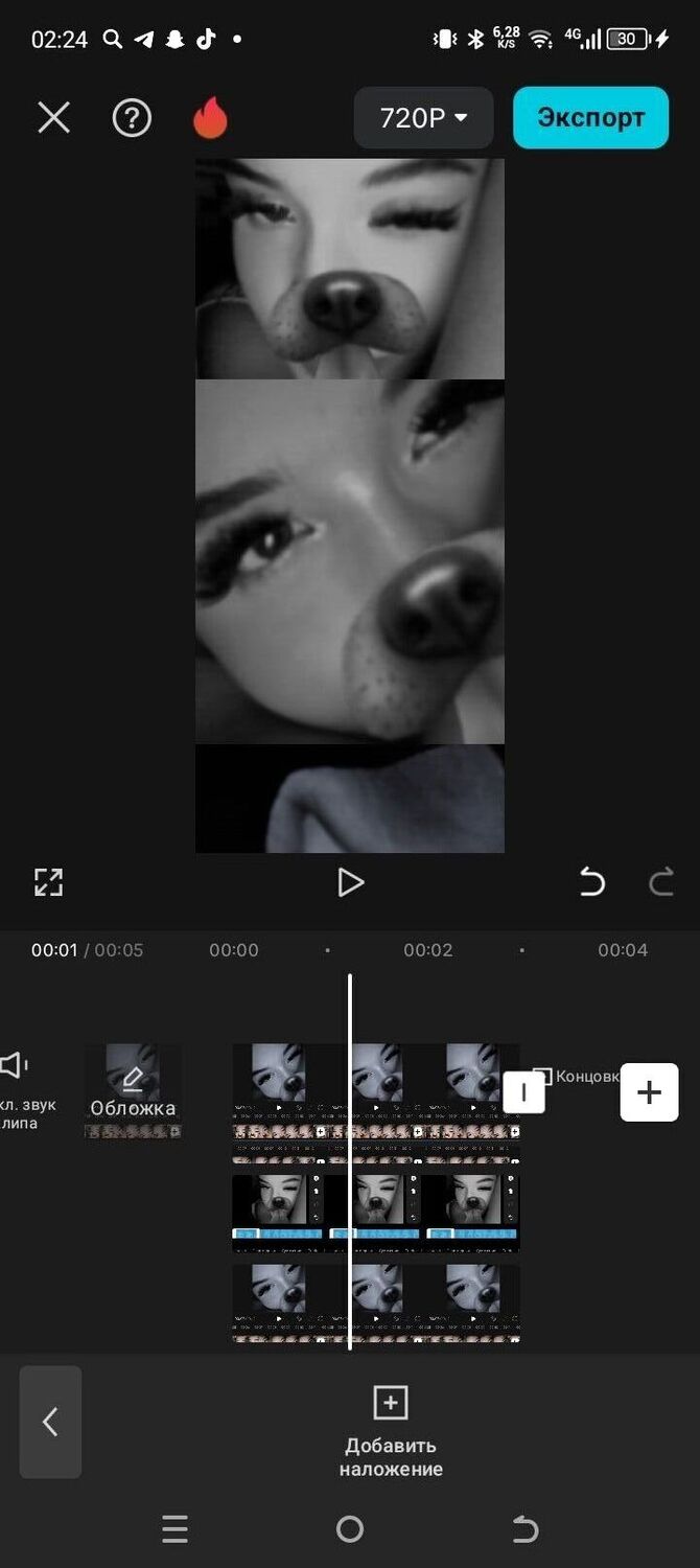 ���������� ������, ���� ������� ���, 19 ���, ������������ ��� ������, ����� � ���������