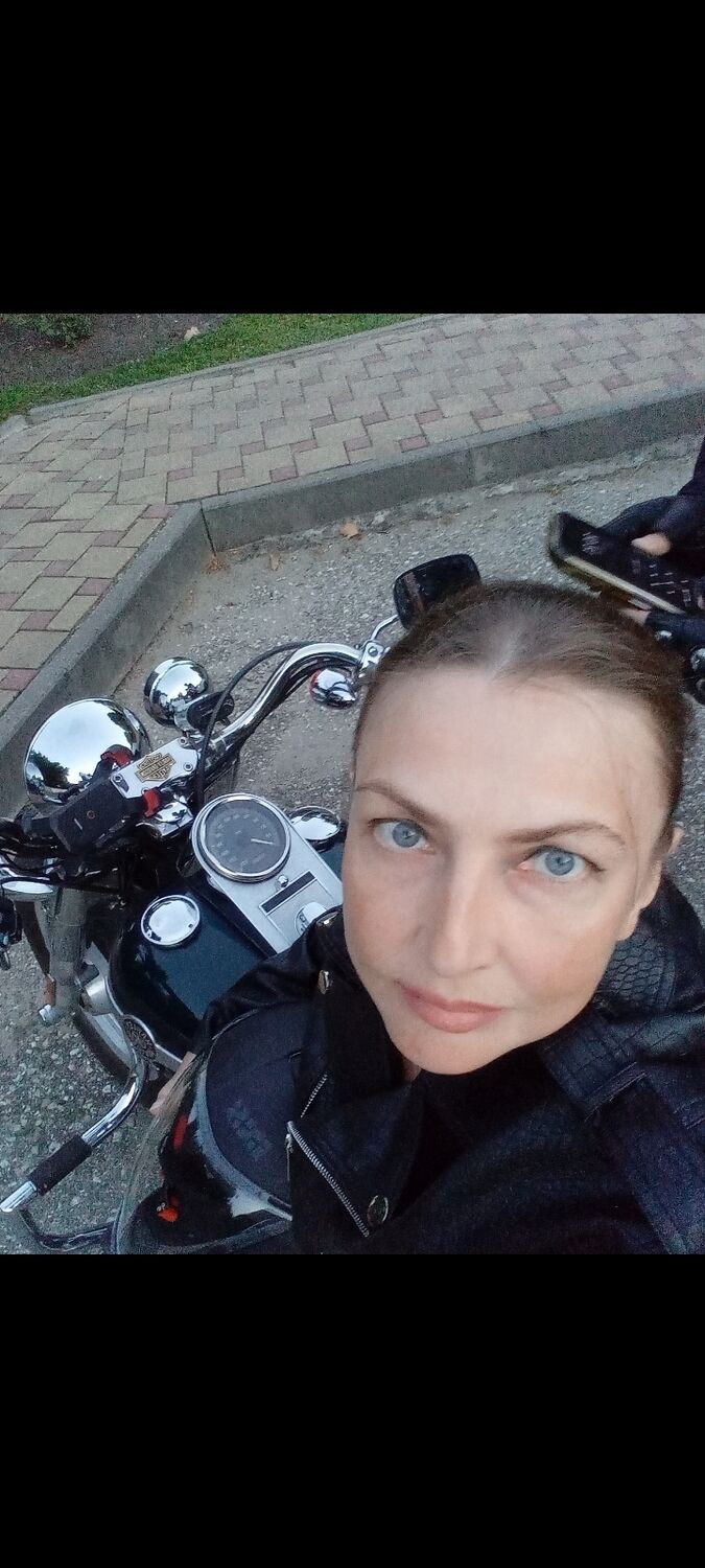  53882616  , 46 ,    