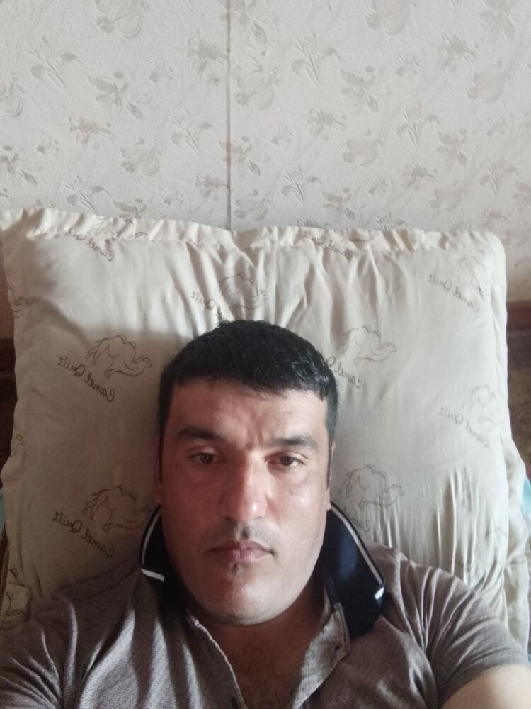 ���� 34413356 ������� ����, 36 ���, ���� ���������� � ������ ���������