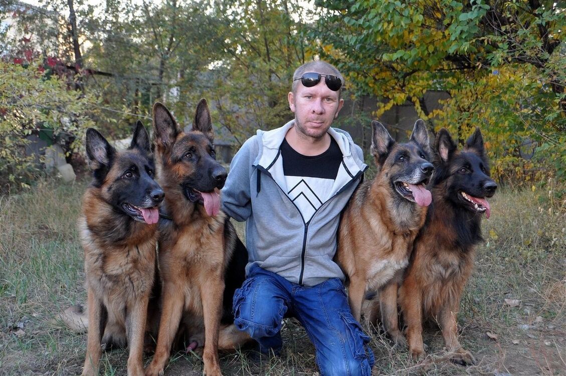 ���� 18266356 ������� �������, 43 ����, ���� ���������� � ��������