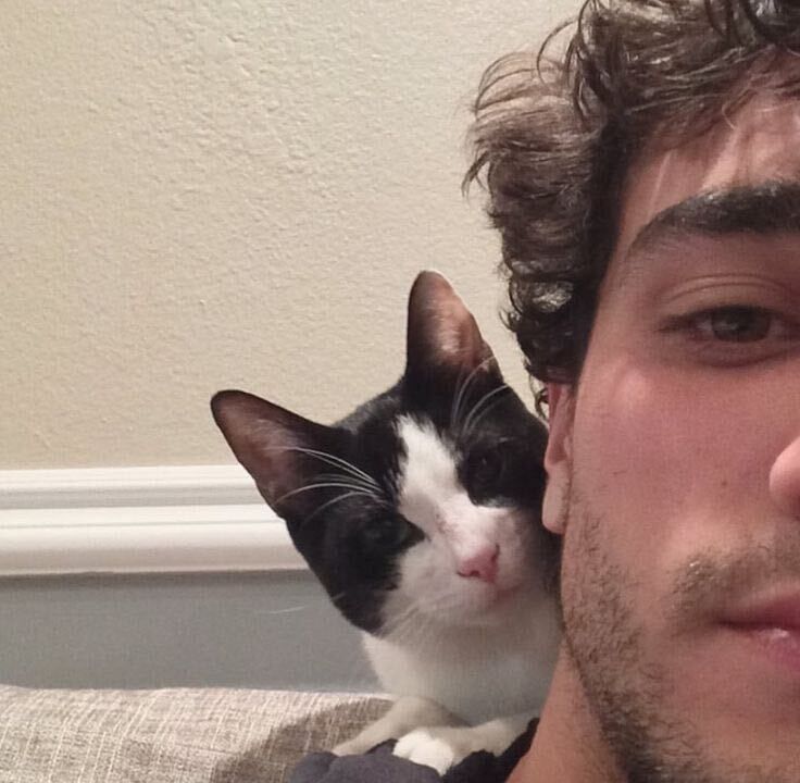 ���� 38932076 ����� ����, 23 ����, ���� ���������� � ����������