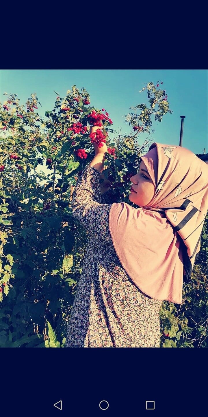 ���� 23936736 ������� �������, 26 ���, ���� ���������� � ������