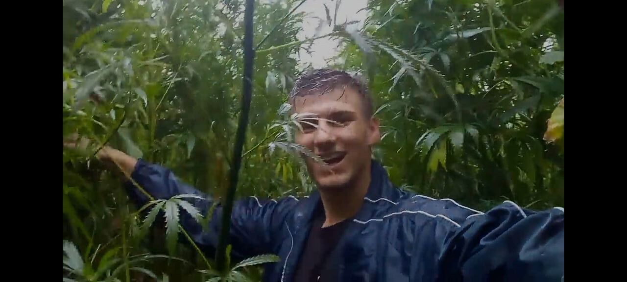 ���� 53041556 ����� ������, 20 ���, ���� ���������� � ����������