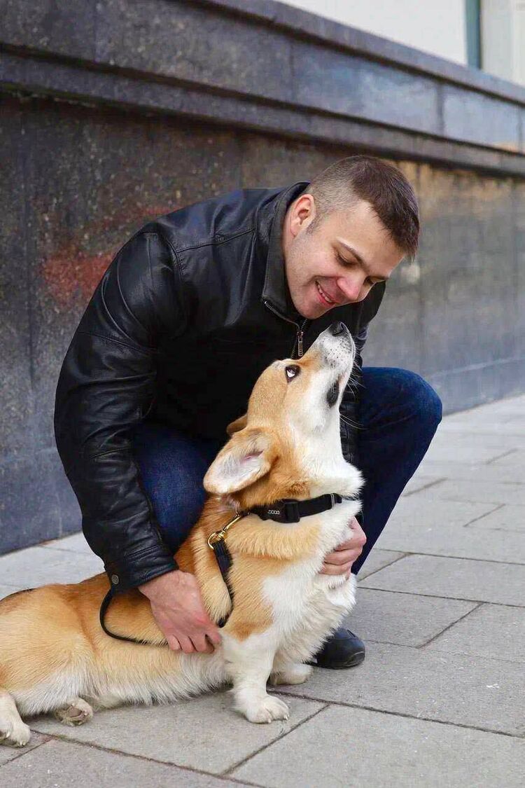 ���������� ������, ���� ������� ���������, 29 ���, ������������ ��� ������, ����� � ���������