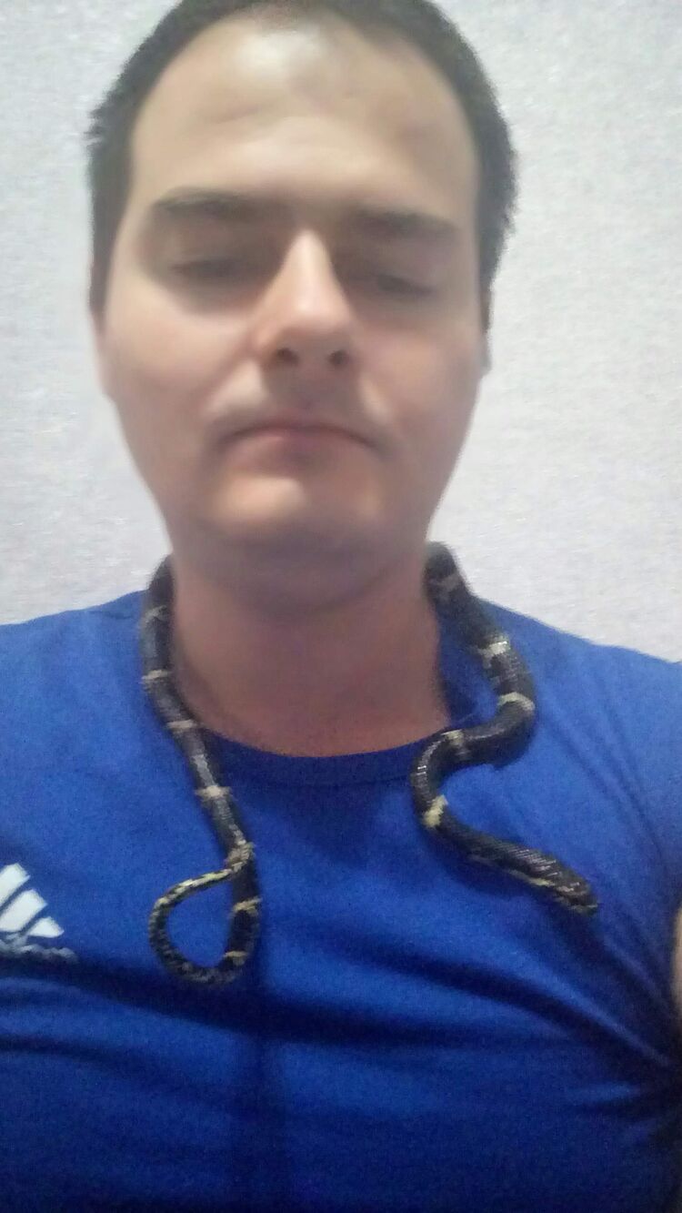  28835146  , 33 ,     