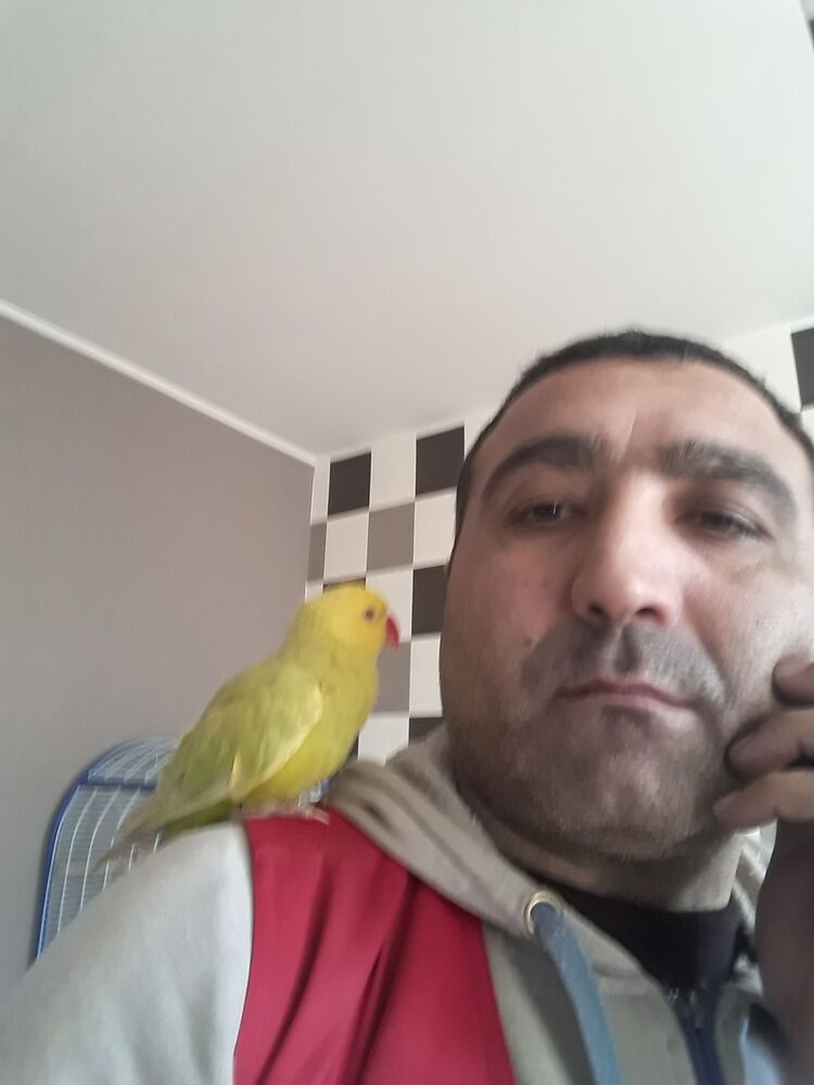 ���� 16907816 ������� �������, 46 ���, ���� ���������� � ������