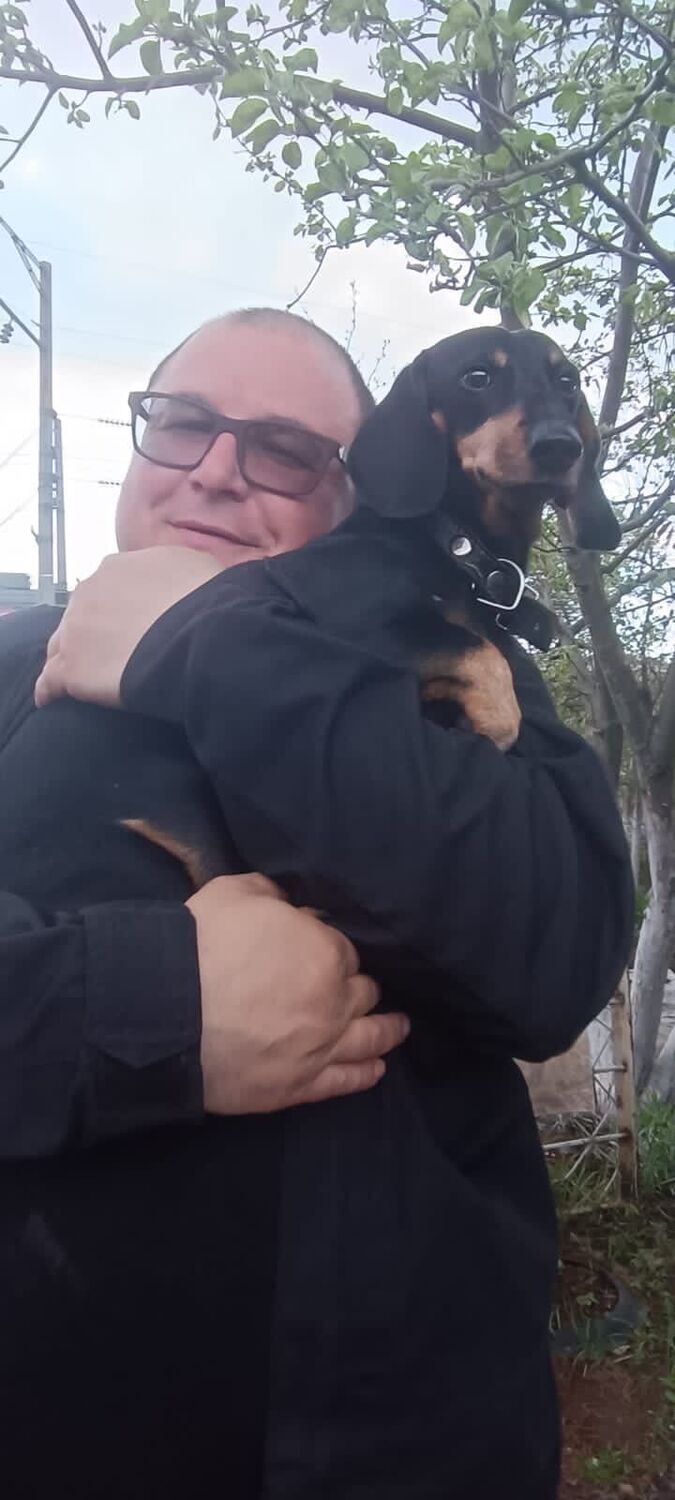 ���� 27116386 ������� �������, 40 ���, ���� ���������� � ������