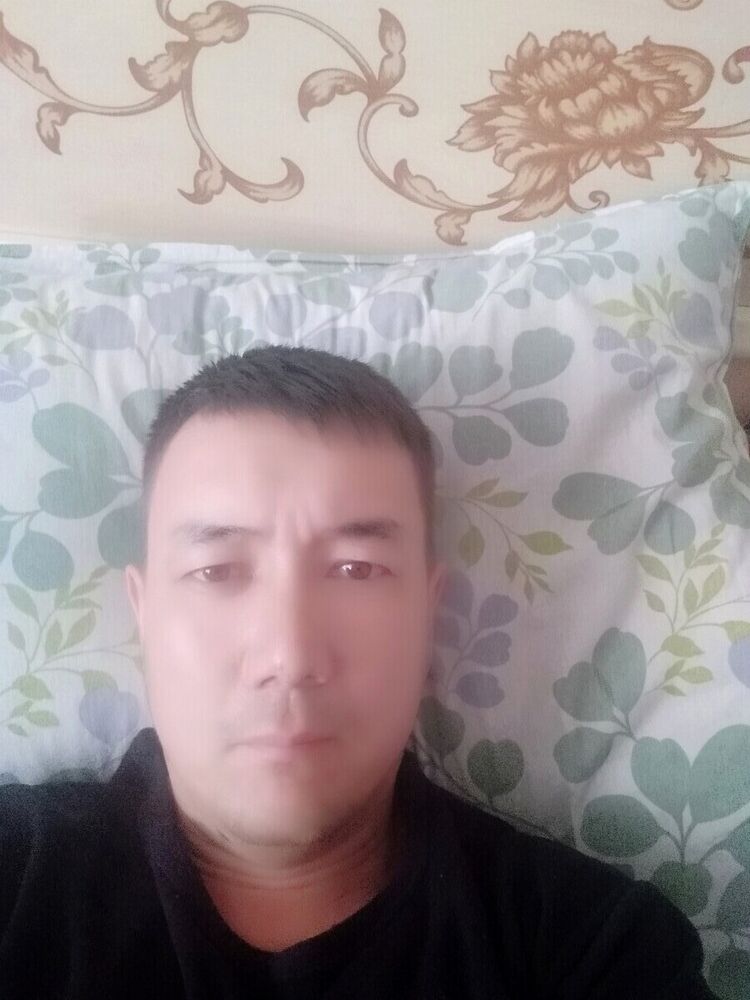  21292416  , 41 ,    