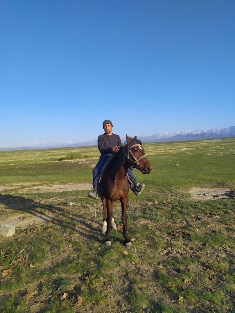 ���������� ������������, ���� ������� ������, 38 ���, ������������ ��� ������, ����� � ���������