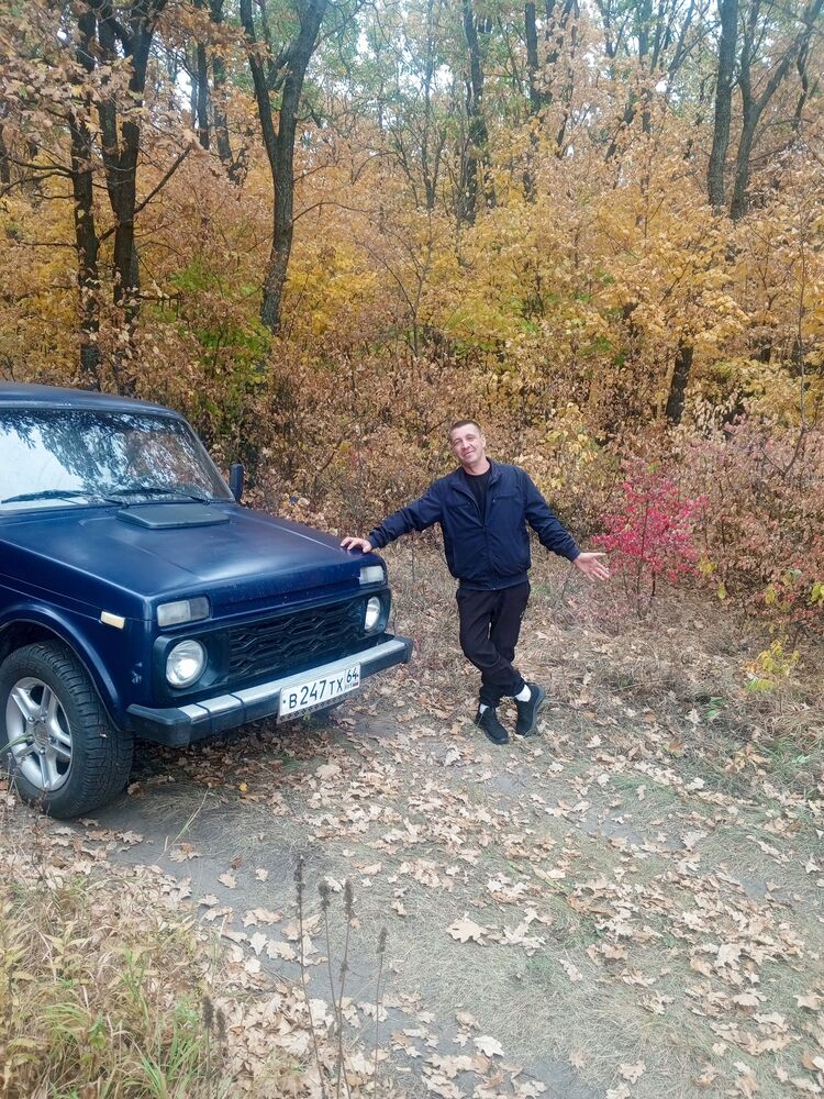 ���� 56335006 ������� ����, 40 ���, ���� ���������� � ��������