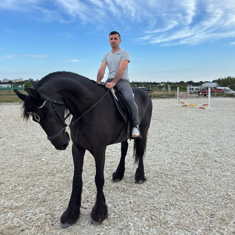 ���������� ������, ���� ������� Marty, 29 ���, ������������ ��� ������, ����� � ���������