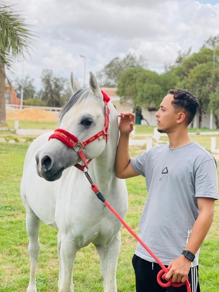 ���������� ����, ���� ������� Mahmmuod, 27 ���, ������������ ��� ������, ����� � ���������